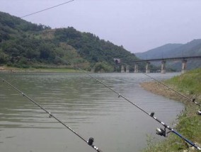 冬季雪天钓鱼技巧教程（钓鱼技巧）