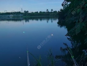 夜钓涨水技巧教学（充分利用涨水优势）