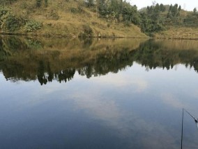 高山钓鱼技巧（掌握高山地区钓鱼的窍门）