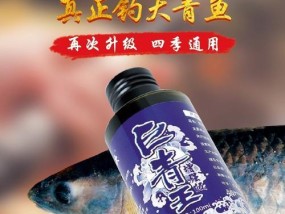 水库钓鱼小药搭配技巧教程（提升钓鱼效果的关键）