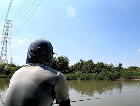 夏天大风钓鱼技巧（应对夏季大风）