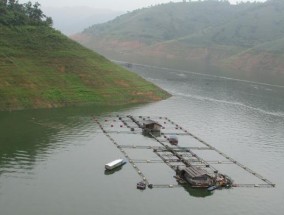 万峰湖钓鱼技巧大揭秘（探秘不同月份下的高效钓鱼策略）