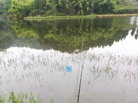 水库刮风钓鱼技巧（享受刮风时的丰收乐趣）