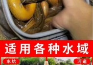 野钓鳝鱼的技巧与窍门（掌握这些技巧）