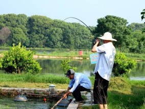 野钓技巧大全（掌握钓鱼技巧）