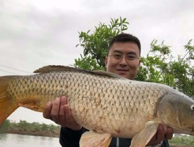 大师野外钓鲤鱼的技巧与方法（掌握关键步骤）