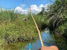 野外垂钓位置技巧教程（掌握合适垂钓位置）