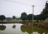 冬季雨天池塘钓鱼技巧（钓鱼爱好者必看）