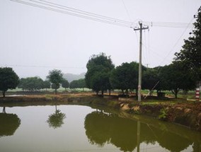 冬季雨天池塘钓鱼技巧（钓鱼爱好者必看）