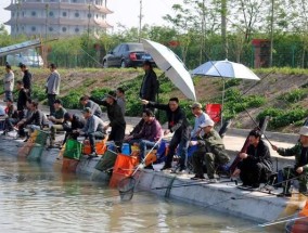 黑坑钓鱼正钓技巧大揭秘（从选钓点到诱饵）