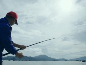 野钓鲤鱼的方法和技巧（探索野外）