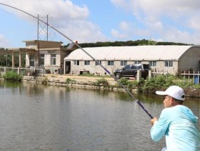 野钓大鱼抬竿遛鱼技巧法（揭秘大鱼捕获的绝技）