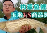 探秘抛竿钓草鱼打窝技巧（挑战湖中明珠的绝技草鱼钓窝全攻略）