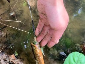 水库黄鳝塘钓鱼技巧（钓鱼好帮手）