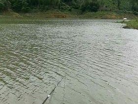 初夏野钓钓位选择技巧（提高钓鱼成功率的绝佳地点选择方法）