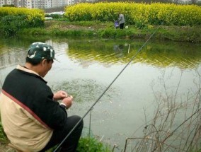 洛阳伊河垂钓技巧（洛阳伊河垂钓技巧及钓点推荐）