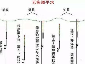 野钓大鱼小鱼的调漂技巧（掌握漂技）