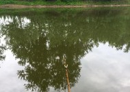 秋雨前的钓鱼技巧（探秘秋天雨前的钓鱼技巧）