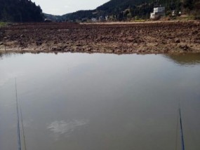 冬季小水沟钓鱼技巧（解锁冬季小水沟钓鱼技巧）