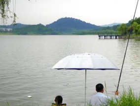 东北春季雨天钓鱼技巧（雨天钓鱼的关键技巧，让你丰收满载）