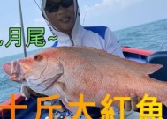 船钓海鲈鱼的方法和技巧教程？如何提高钓获率？