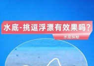 本汀浮漂钓鱼技巧有哪些？如何提高钓鱼成功率？