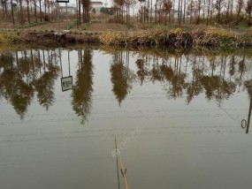 冬季野钓河沟鲫鱼打窝技巧（冰天雪地）