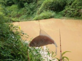 冬季小雨后钓鱼技巧（钓鱼技巧）