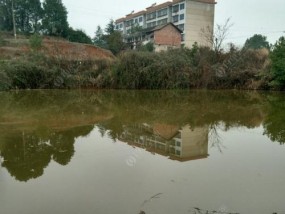 天气环境对钓鱼技巧的影响（掌握天气变化技巧钓到大鱼）