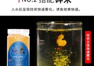 粘粉钓鱼的最佳方法与技巧（掌握粘粉钓鱼）