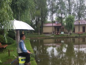 冬季水库下雨钓鱼技巧（雨中鱼儿的秘密攻略）