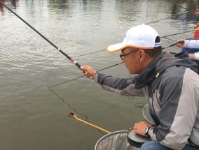 流水河面钓鲤鱼的技巧（掌握关键技巧）