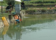 夏日在野塘钓鱼的技巧（享受阳光和温暖水域）