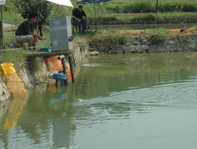 夏日在野塘钓鱼的技巧（享受阳光和温暖水域）