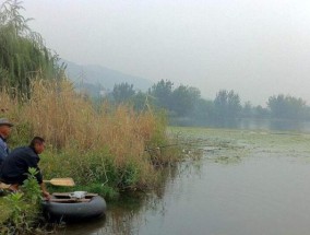 湾子钓鱼技巧教学（掌握湾子钓鱼技巧）