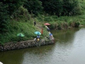 赣州贡江钓鱼技巧（钓鱼技巧分享及实操经验）