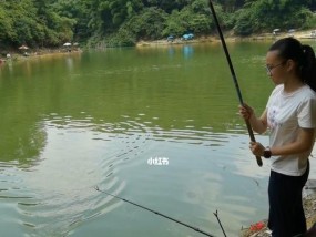 钓鱼场综合塘钓鱼技巧（享受多样的钓鱼乐趣，掌握综合塘钓技巧）