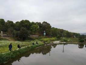 水库流水口钓鱼技巧（掌握流水口特点）