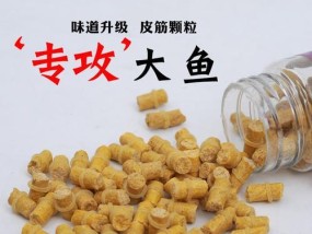 钓鱼技巧（掌握关键的钓鱼技巧，调配出最有效的鱼饵！）