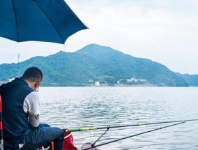 年轻人钓鱼技巧（提升年轻人钓鱼技能的关键要点）