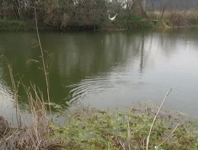 炎炎夏日，垂钓技巧大揭秘（如何在炎热天气下享受垂钓乐趣）