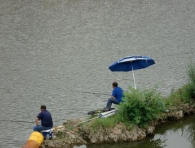 水库水位大降钓鱼技巧（应对水库水位大降）