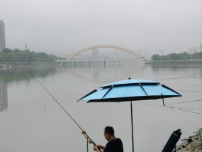 冬季早上钓鱼技巧（寒冷季节如何提高钓鱼成功率）