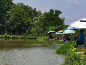 野钓缓流水技巧（掌握钓鱼技巧）