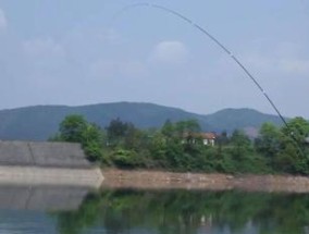 水库钓鱼技巧——浮钓鲢鳙（掌握正确浮钓技巧）