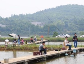 小区池塘钓鱼技巧（掌握钓鱼技巧让你成为小区池塘的钓鱼高手）