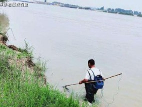 水域垂钓技巧大揭秘（不同水域钓鱼秘籍一网打尽）