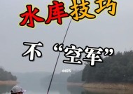 五月份早上钓鱼技巧（提高钓鱼成功率）