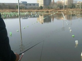 雨中垂钓之技巧（钓鱼在雨水中的诀窍）