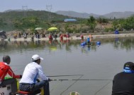 炎热夏日钓鱼技巧（掌握高温下的黑坑钓鱼窍门）